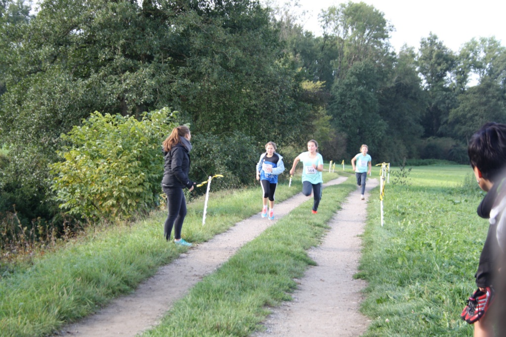 Bild 1 (52)